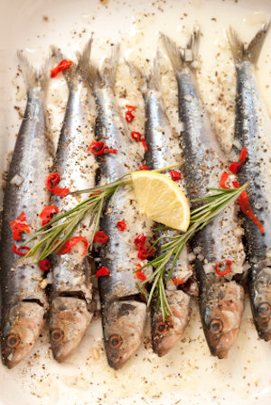 Sardines